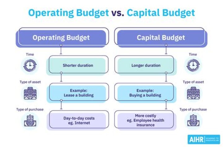 What are operational budgets?