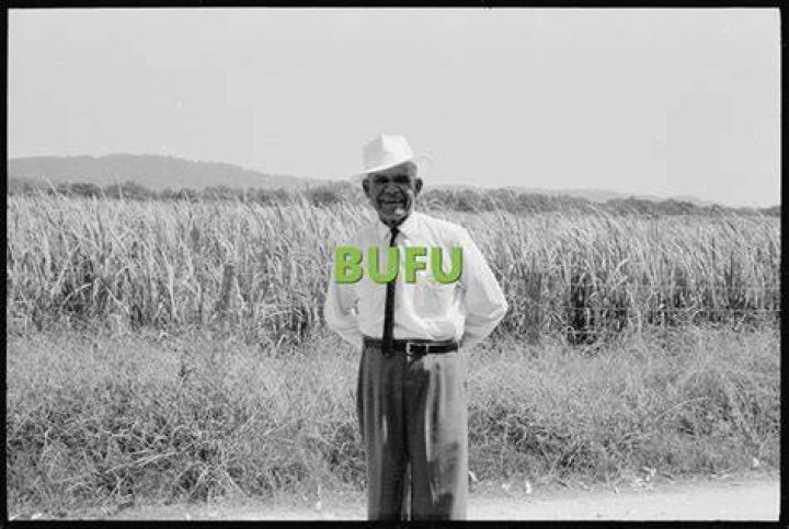 What does Mr BUFU mean?