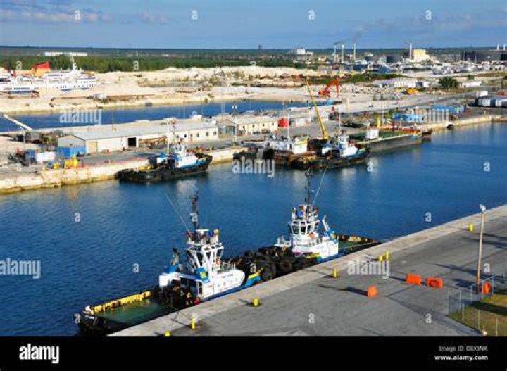 What is a free port used for?