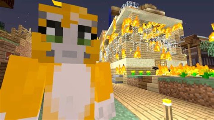 What is Stampylongnose most popular video?