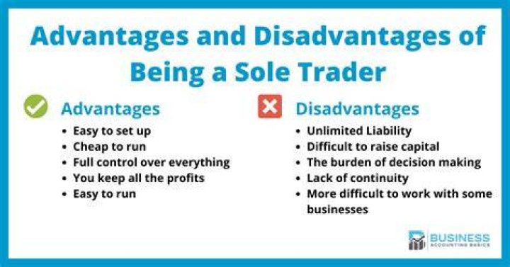 What is the advantages and disadvantages of sole trader?