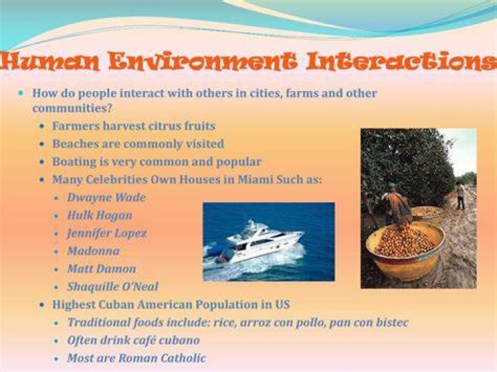 What is the human environment interaction in Miami Florida?