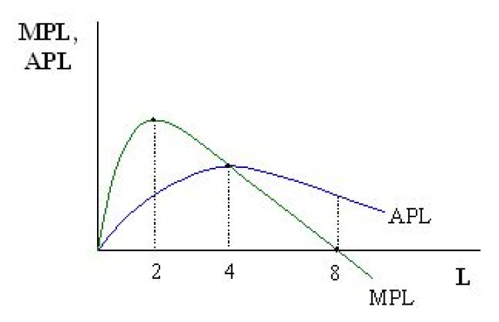 What is the relation between APL and MPL?